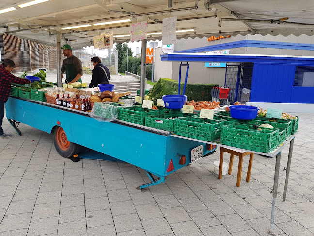 Marché de la ferme de Belflori