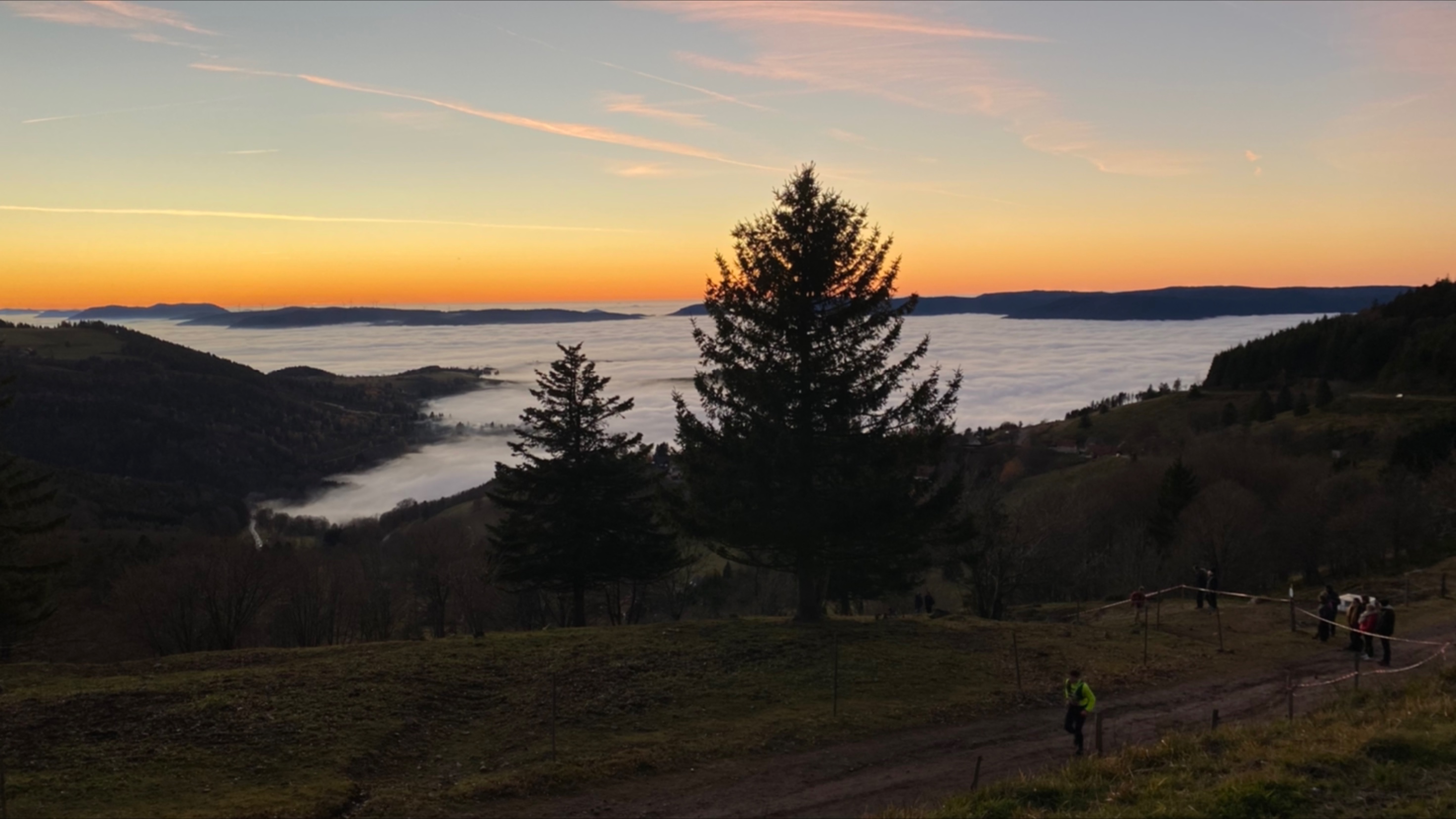 Photo n° 1 de l'avis de manon. fait le 30/11/2021 à 07:28