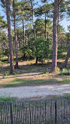 Photo n°45 de Domaine du Ferret Restaurant & Spa à Lège-Cap-Ferret ()