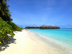 Photo de Fihalhohi Island Resort zone de l'hôtel