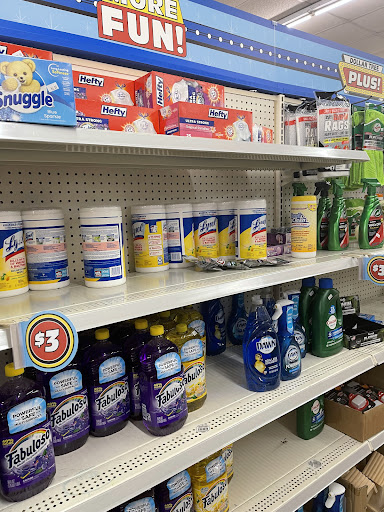 Dollar Store «Dollar Tree», reviews and photos, 11337 Tara Blvd, Hampton, GA 30228, USA