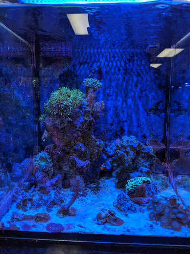Pet Supply Store «Sea Level Aquarium», reviews and photos, 28 US-46, Pine Brook, NJ 07058, USA