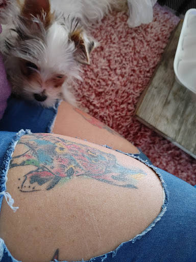 Tattoo Shop «Dr. Tattoo Studio», reviews and photos, 13915 Harbor Blvd, Garden Grove, CA 92843, USA