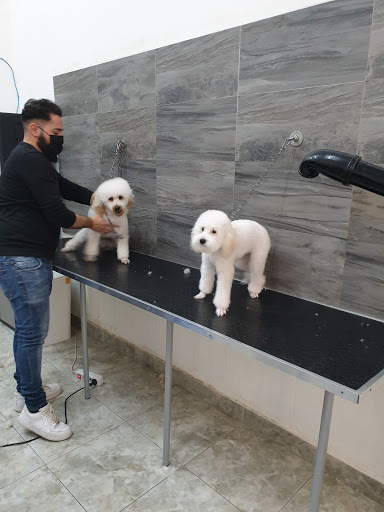 Pensioni per cani e dog hotel a PET GROOMING DI MICHELE MARULLO