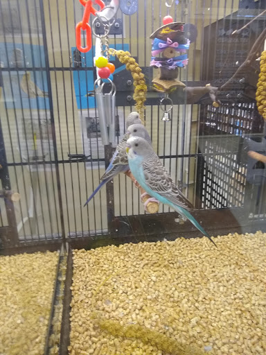 Pet Supply Store «PetSmart», reviews and photos, 2500 Posner Blvd, Davenport, FL 33837, USA