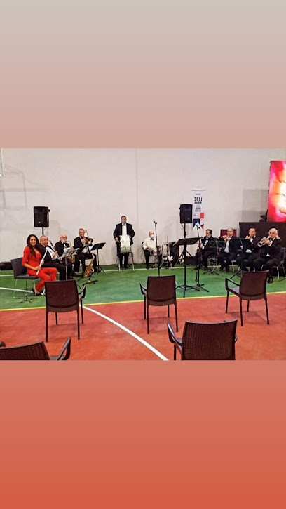 E-VET ORGANİZASYON & MÜZİK ORKESTRALARI - The Best Modern Orkestraları.