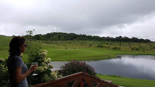 Winery «Monkey Hollow Winery», reviews and photos, 11534 E County Road 1740 N, St Meinrad, IN 47577, USA