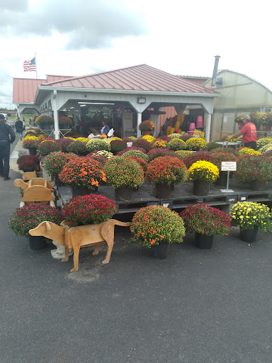 Produce Market «Miller Farms», reviews and photos, 10140 Piscataway Rd, Clinton, MD 20735, USA