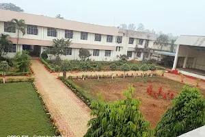 Bhilai Mahila Mahavidyalaya image