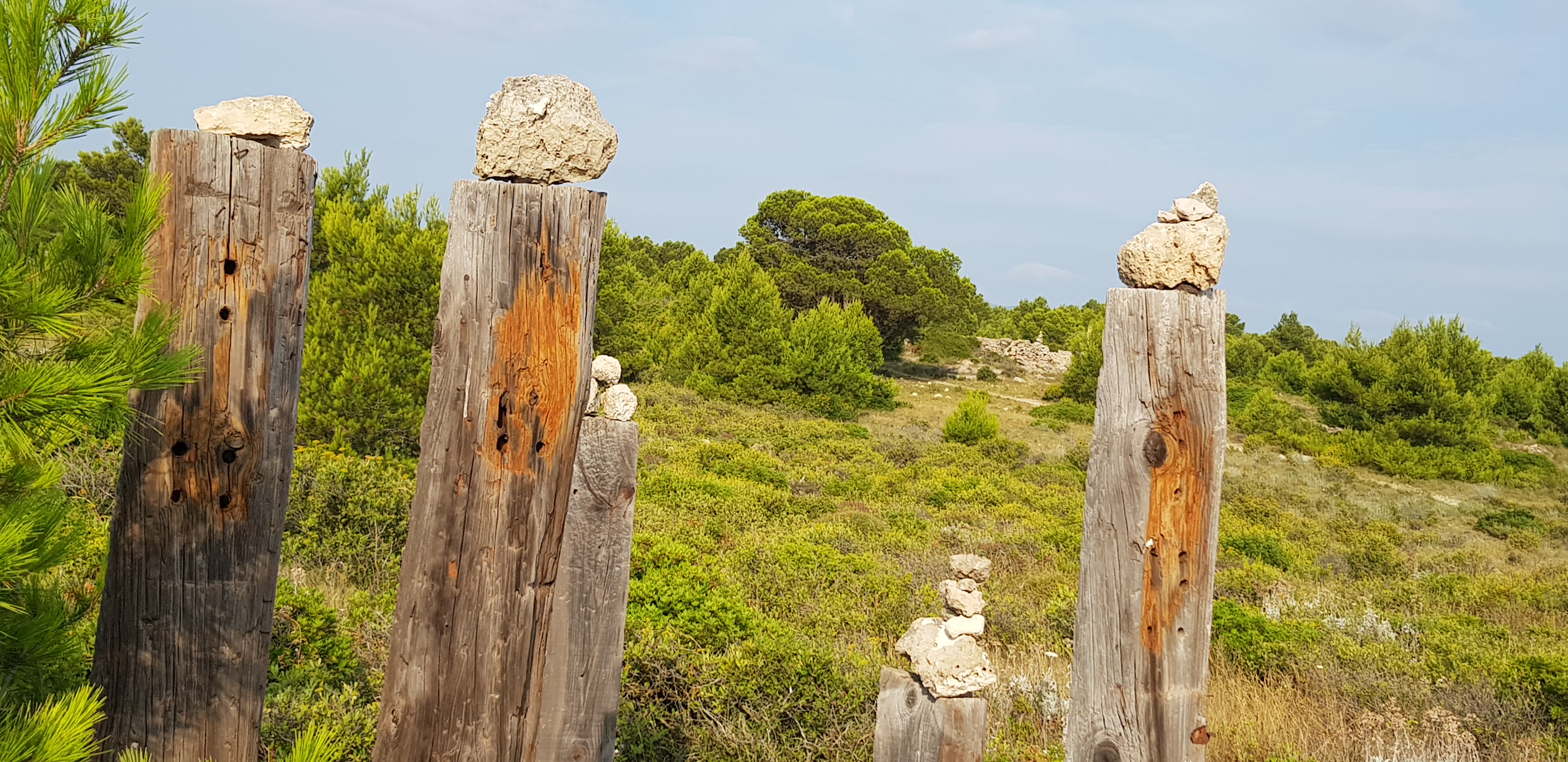 Photo n° 4 de l'avis de Flavien.e fait le 28/07/2018 à 09:02