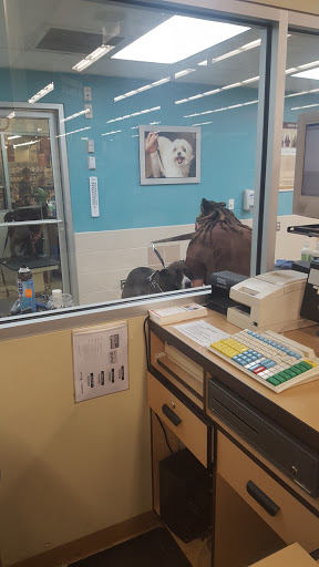 Pet Supply Store «Petco Animal Supplies», reviews and photos, 197 E Dekalb Pike #350, King of Prussia, PA 19406, USA