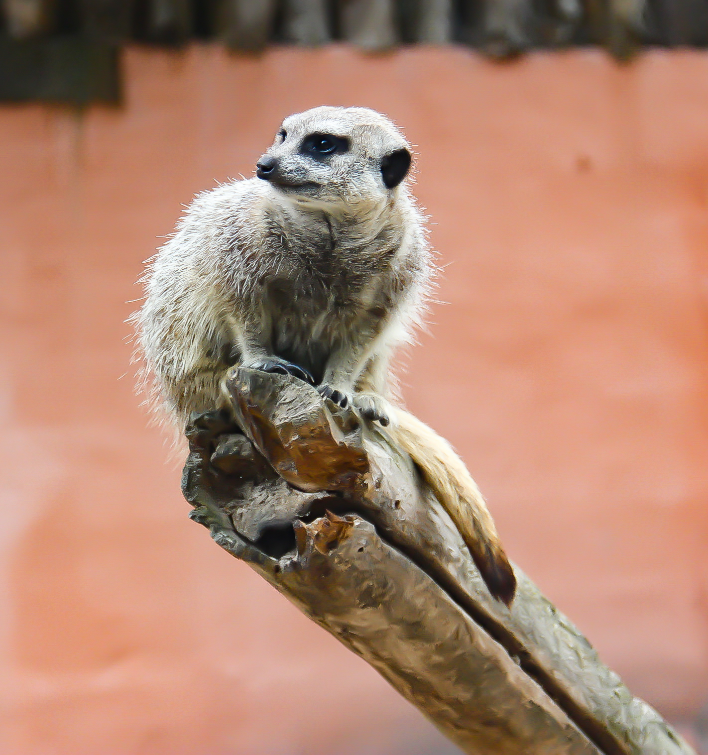 Photo n° 5 de l'avis de Cynthia.l fait le 21/07/2022 à 17:10