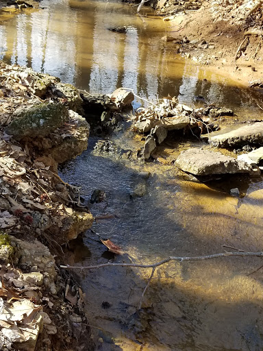 National Park «Guilford Courthouse National Military Park», reviews and photos, 2332 New Garden Rd, Greensboro, NC 27410, USA