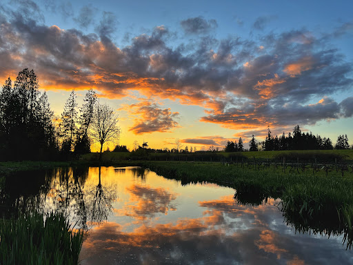 Winery «Three Brothers Vineyard and Winery», reviews and photos, 2411 NE 244th St, Ridgefield, WA 98642, USA