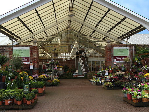 Seedling sales in Southampton