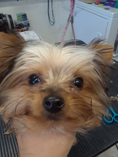 Pet Supply Store «Pets For You», reviews and photos, 413 N Main St, Rice Lake, WI 54868, USA