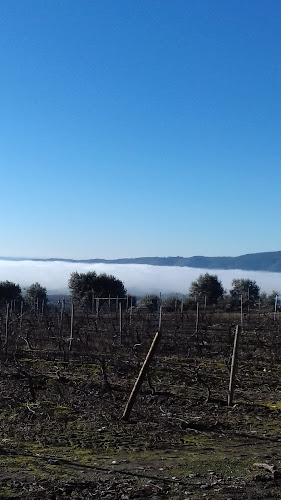 Avaliações doFabripanalentejo - Fabrico De Pão Do Alentejo, Lda. em Borba - Padaria