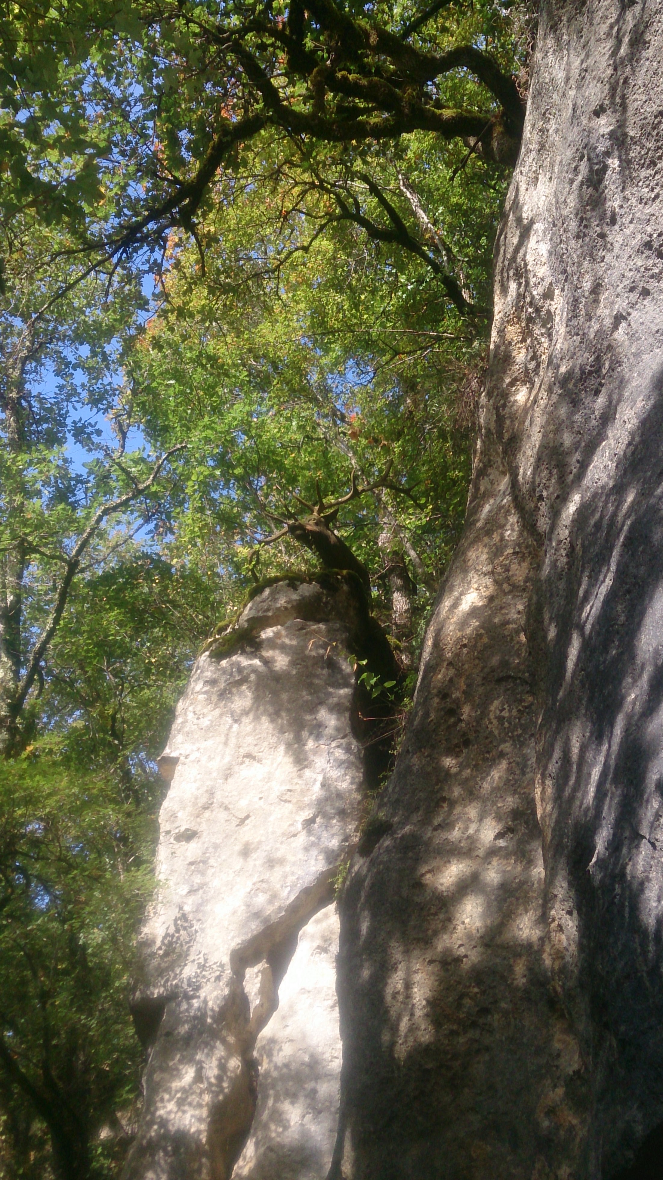 Photo n° 5 de l'avis de Pranitou. fait le 26/09/2019 à 09:35