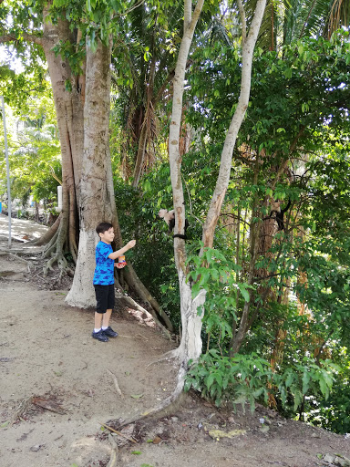 Reserva Natural Los Monos