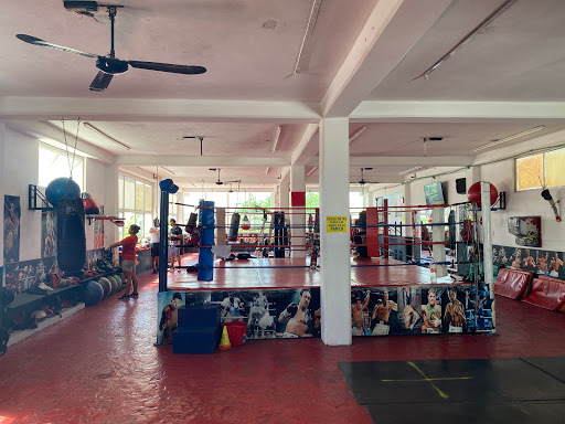 Gladiadores De Chichén Itzá Academia De Boxeo