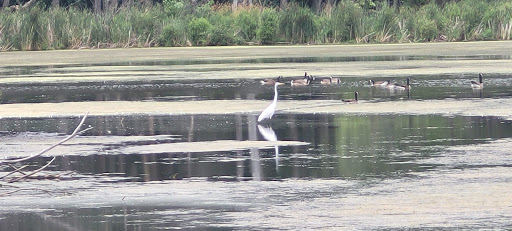 Nature Preserve «Wood Lake Nature Center», reviews and photos, 6710 Lake Shore Dr S, Minneapolis, MN 55423, USA