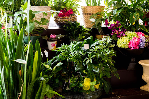 Florist «Athena Flowers», reviews and photos, 6039 W Addison St, Chicago, IL 60634, USA