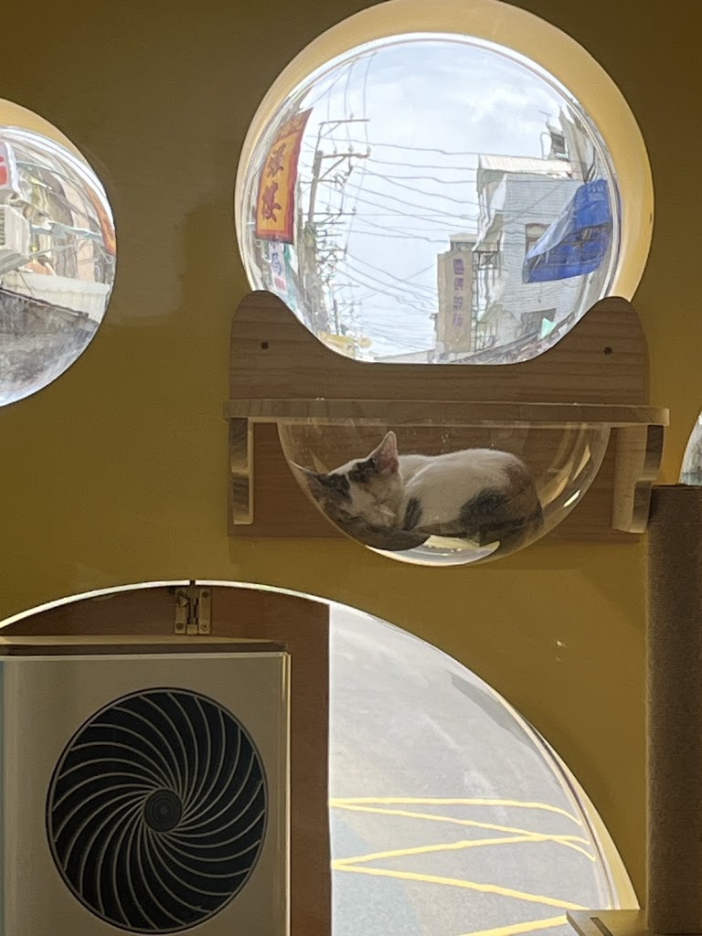 六貓茶坊 的照片