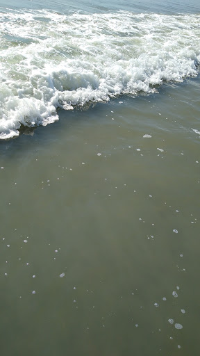 Tourist Attraction «Beach Access», reviews and photos, Alantic Ave, Pawleys Island, SC 29585, USA