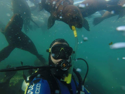 Escuela de Buceo - Sea Divers - Olivos