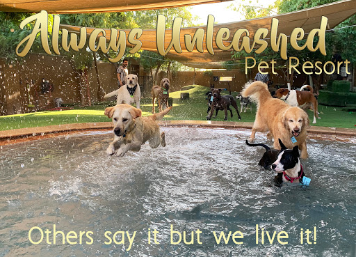 Always Unleashed Pet Resort
