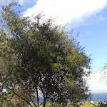 Photo n°1 de l'avis de Enza.l fait le 22/08/2022 à 15:01 sur le  Hotel Paola à Tonnare