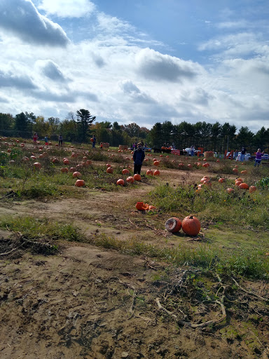 Produce Market «Solly Brothers», reviews and photos, 707 Almshouse Rd, Warminster, PA 18974, USA