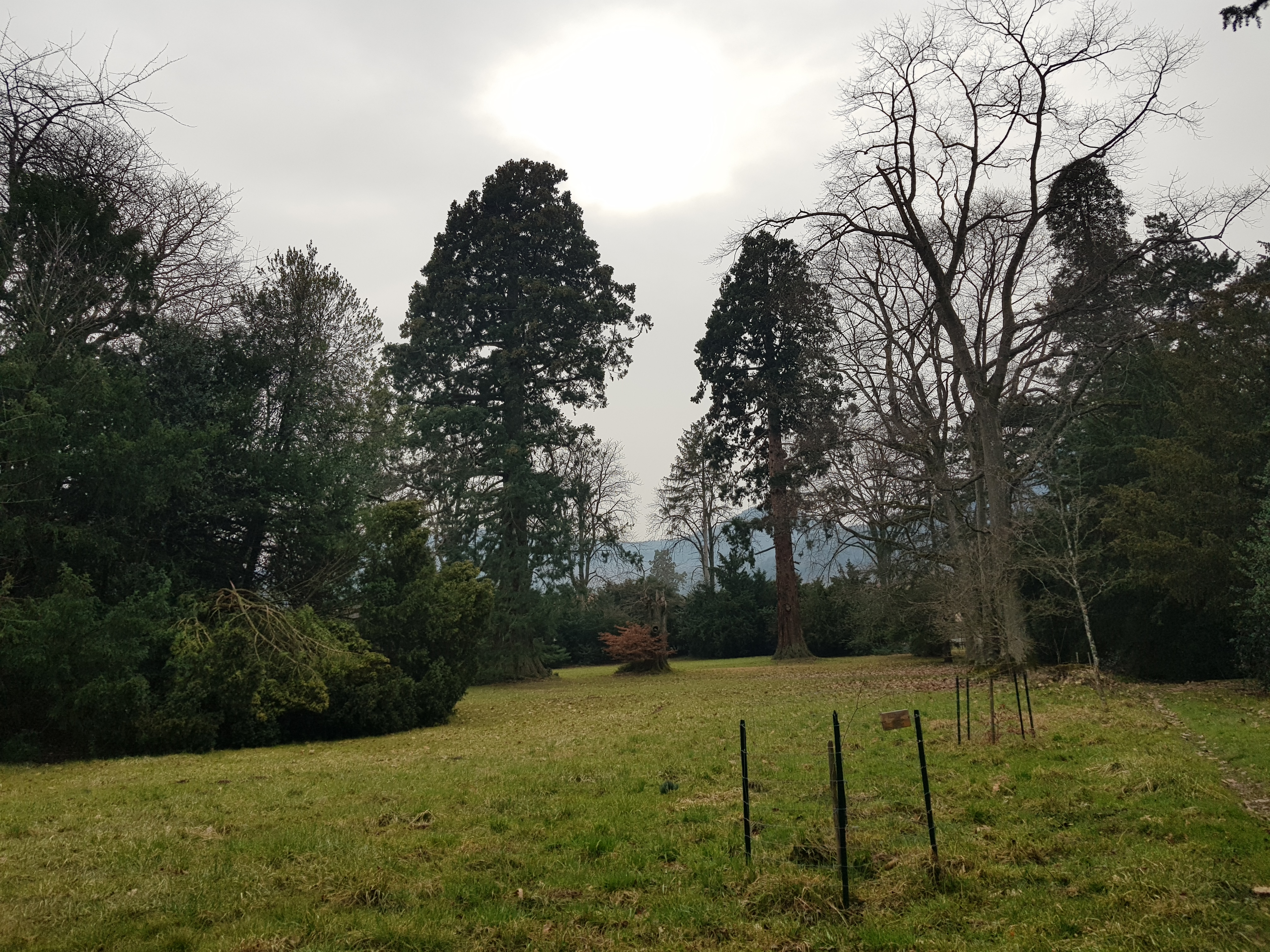 Photo n° 2 de l'avis de bernard.e fait le 03/03/2021 à 15:05