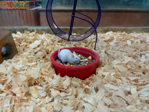 Pet Store «Wet Pets», reviews and photos, 1712 Montgomery Hwy, Dothan, AL 36303, USA