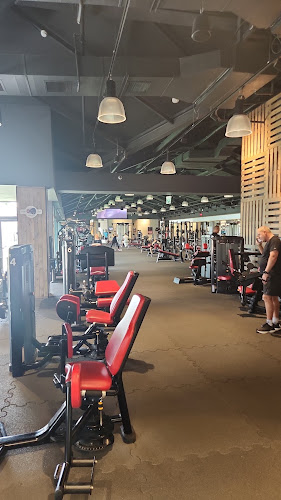 Icon fitness רעננה