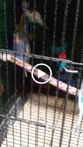 Pet Store «Pets World», reviews and photos, 147 Bridge St, Weymouth, MA 02191, USA
