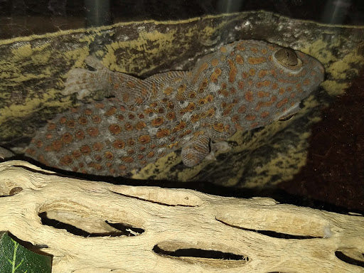 Pet Supply Store «Pets For You», reviews and photos, 413 N Main St, Rice Lake, WI 54868, USA