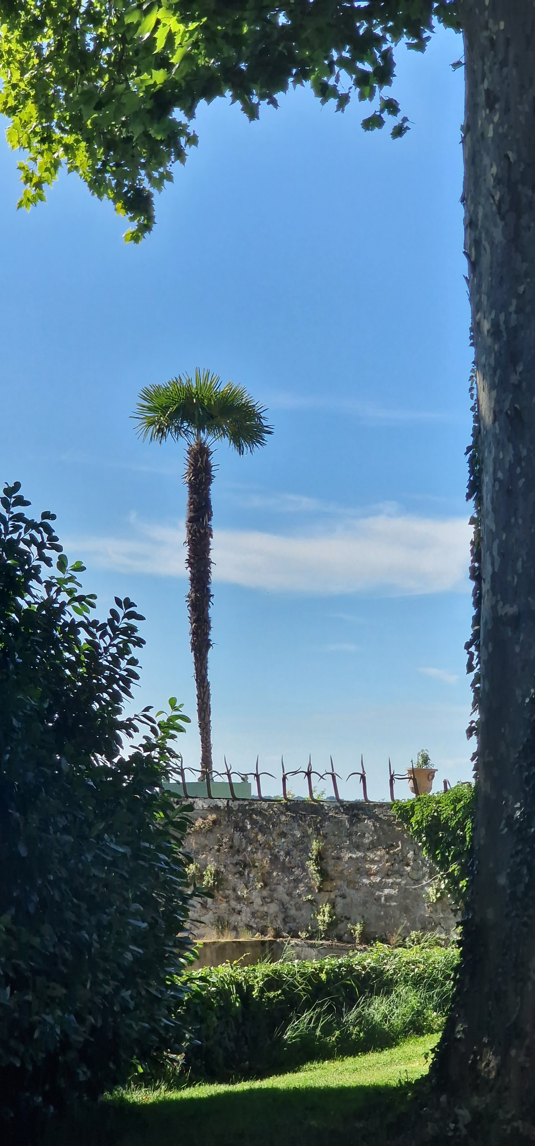 Photo n° 6 de l'avis de Monique.n fait le 14/07/2022 à 18:59