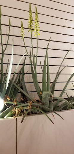 Movie Theater «Harkins Camelview at Fashion Square 14», reviews and photos, 7014 E Camelback Rd, Scottsdale, AZ 85251, USA