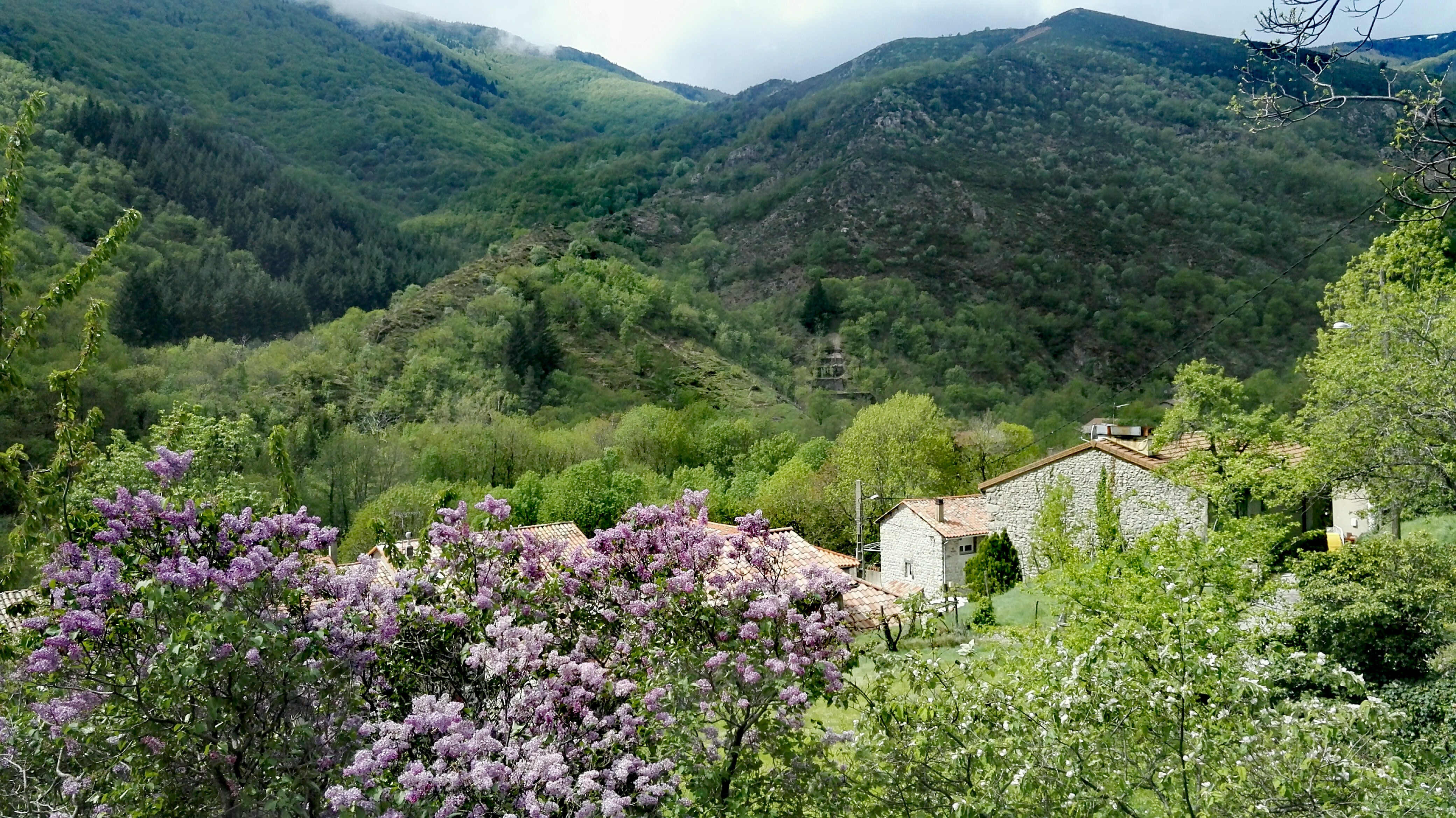 Photo n° 2 de l'avis de Michel.a fait le 19/05/2018 à 10:34