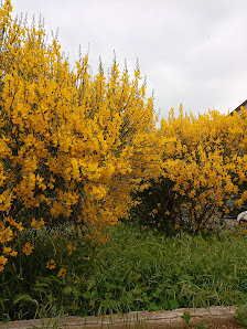Sausalito Travels Di Depascale Donato & Co. Sas Via Iacoviello, 13, 70029 Santeramo In Colle BA, Italia