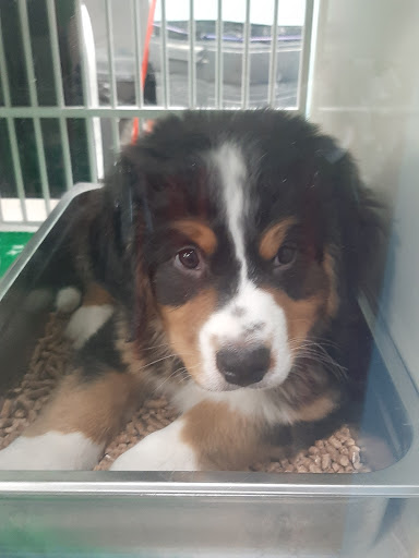 Pet Store «Animart», reviews and photos, 4303 E Towne Way, Madison, WI 53704, USA