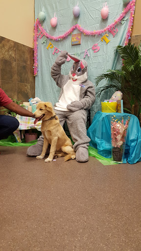 Pet Supply Store «PetSmart», reviews and photos, 4400 Fort Jackson Blvd #300, Columbia, SC 29209, USA