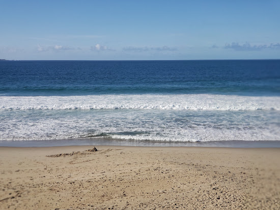 Sand City Beach