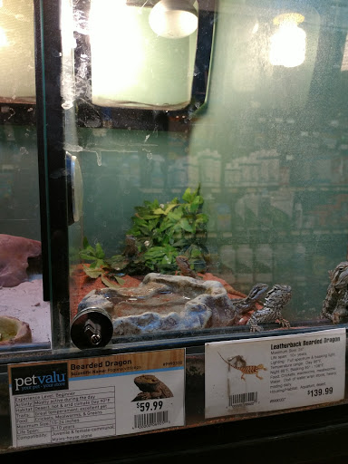 Pet Supply Store «Pet Valu», reviews and photos, 4394 Eastgate Square Dr, Cincinnati, OH 45245, USA