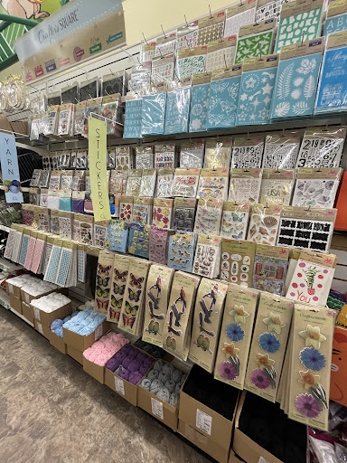 Dollar Store «Dollar Tree», reviews and photos, 7001 Cermak Rd, Berwyn, IL 60402, USA