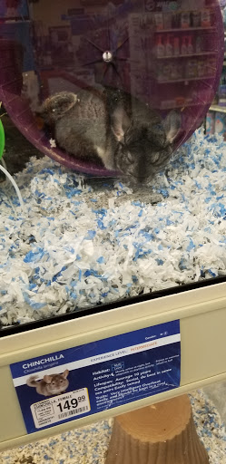 Pet Supply Store «PetSmart», reviews and photos, 1020 Market Pl Blvd, Cumming, GA 30041, USA