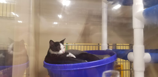 Pet Supply Store «PetSmart», reviews and photos, 3 McKenna Rd, Arden, NC 28704, USA