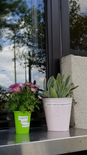 Coffee Shop «Starbucks», reviews and photos, 168 Semoran Blvd, Casselberry, FL 32707, USA