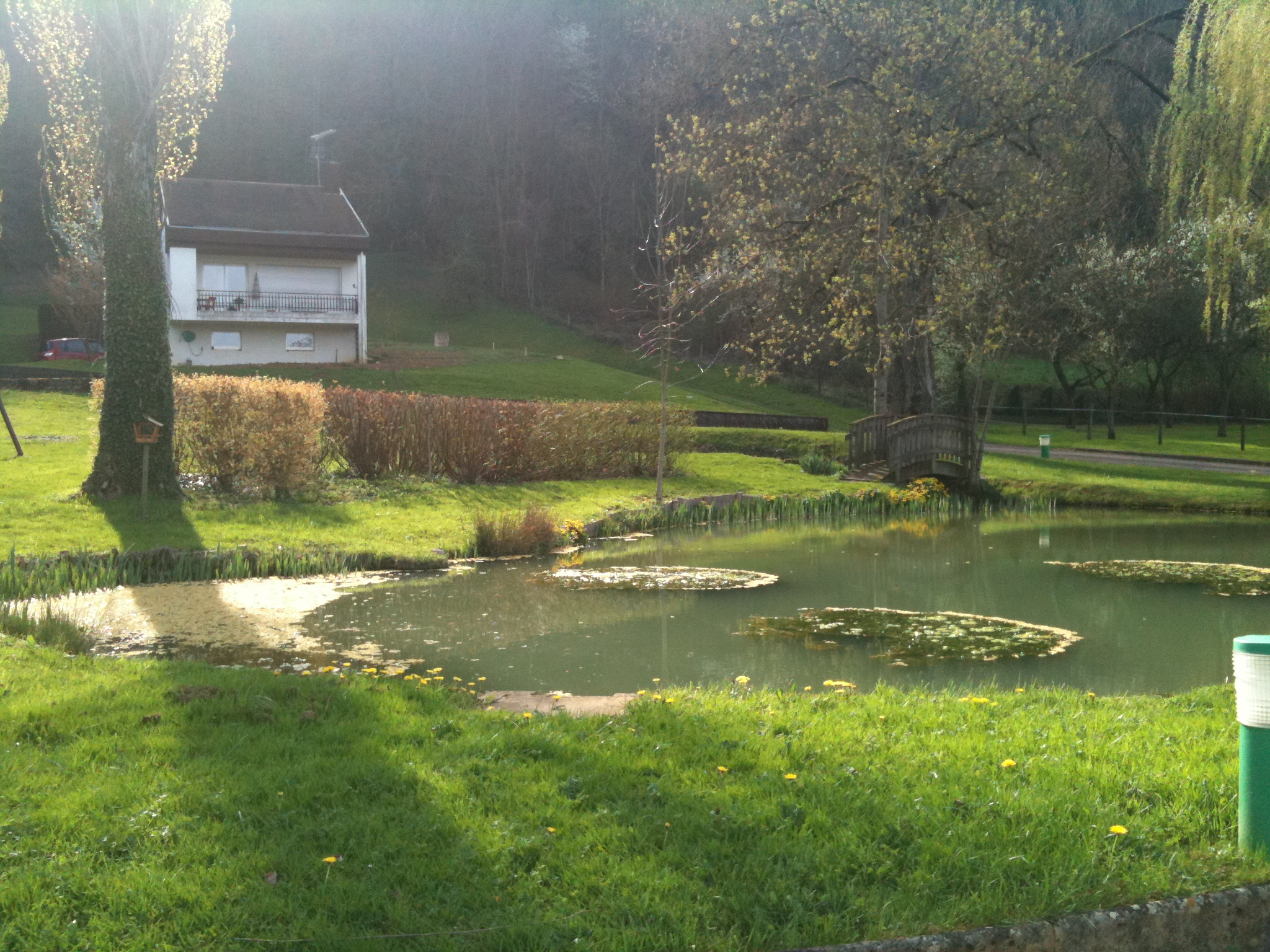 Photo n° 19 de l'avis de Marc.i fait le 24/09/2017 à 12:50